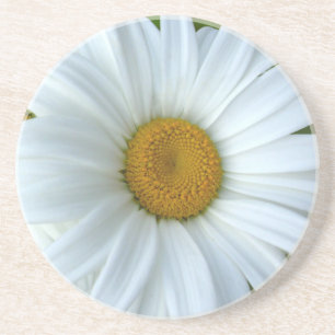 En Grès Daisy Dessous de verre Fleur sauvage Daisy Décor &