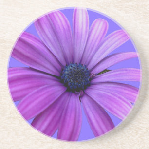 En Grès Daisy Dessous de verre Fleur sauvage violet Daisy 