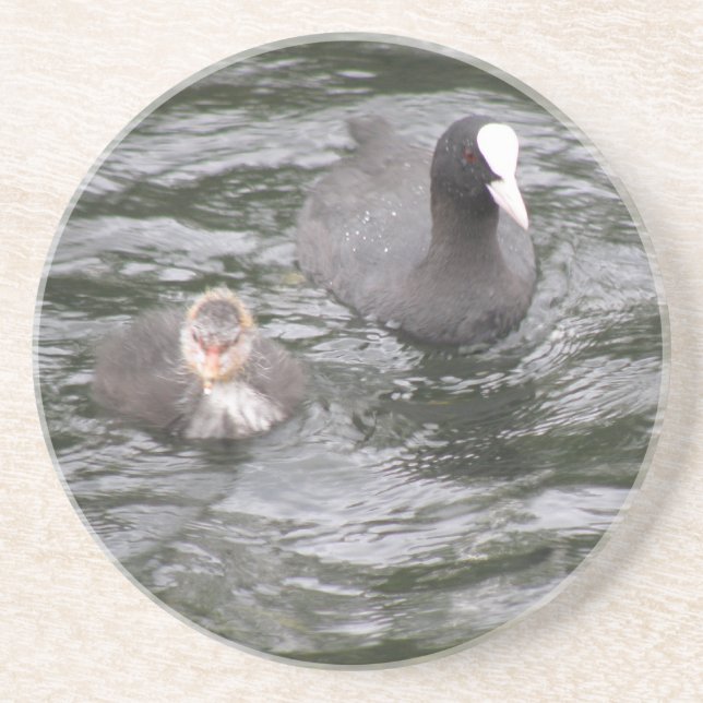 En Grès Dessous de verre à base de pieds et de poussins (Devant)