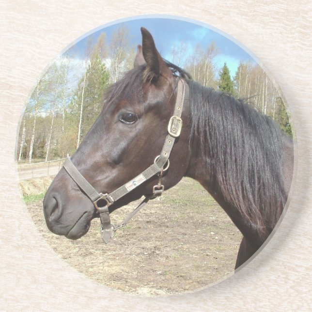 En Grès Dessous de verre à cheval (Devant)