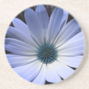 En Grès Dessous de verre à fleurs bleus