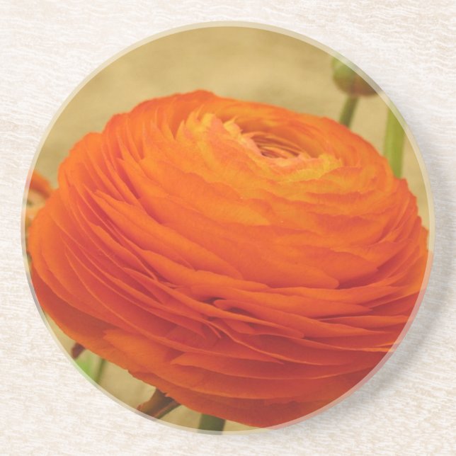 En Grès Dessous de verre à fleurs orange (Devant)