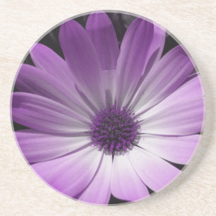 En Grès Dessous de verre à fleurs pourpres