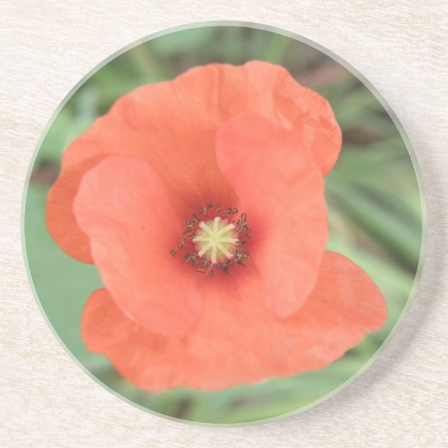 En Grès Dessous de verre à fleurs sauvages de pavot (Devant)
