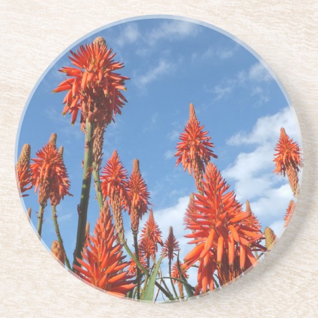 En Grès Dessous de verre Aloe Arborescens (Devant)