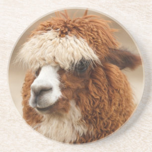 En Grès Dessous de verre Alpaca