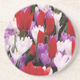 En Grès Dessous de verre aux fleurs de tulipes colorées