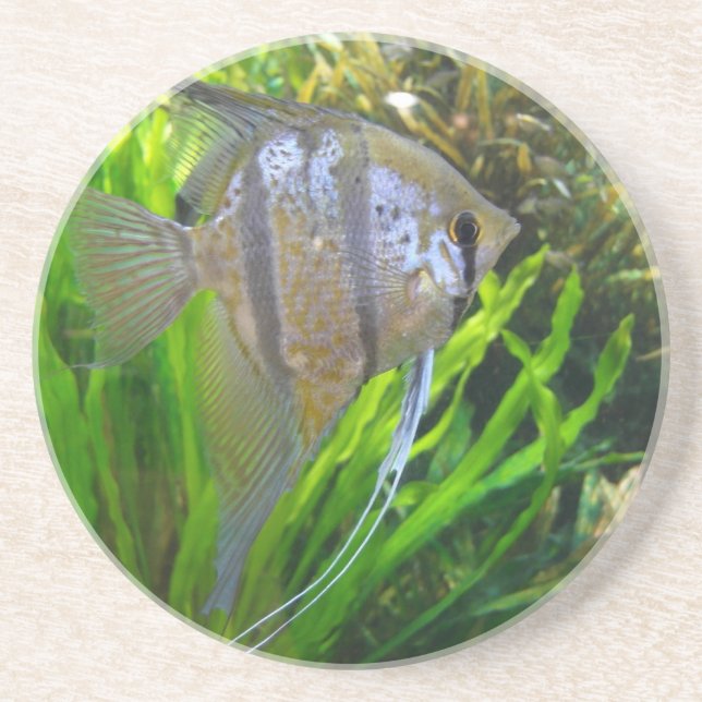 En Grès Dessous de verre aux poissons anges (Devant)