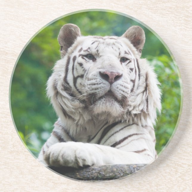 En Grès Dessous de verre blanc de tigre (Devant)