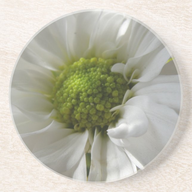 En Grès Dessous de verre blancs Chrysanthemum (Devant)