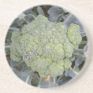 En Grès Dessous de verre Brocoli