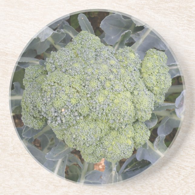 En Grès Dessous de verre Brocoli (Devant)