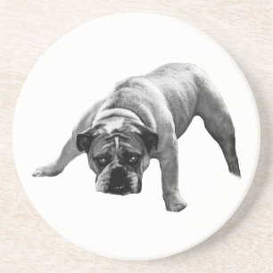En Grès Dessous de verre Bulldog à surveiller