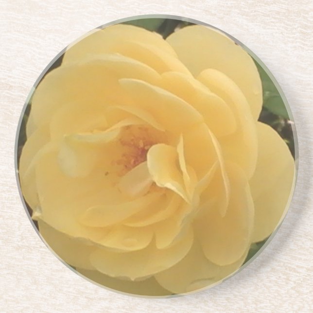En Grès Dessous de verre Camellia Jaune (Devant)