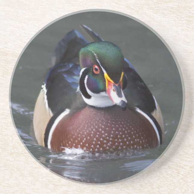 En Grès Dessous de verre Canard branchu américain (Devant)