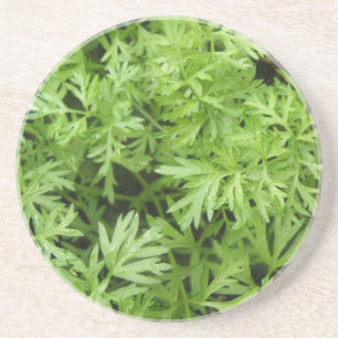 En Grès Dessous de verre carottes