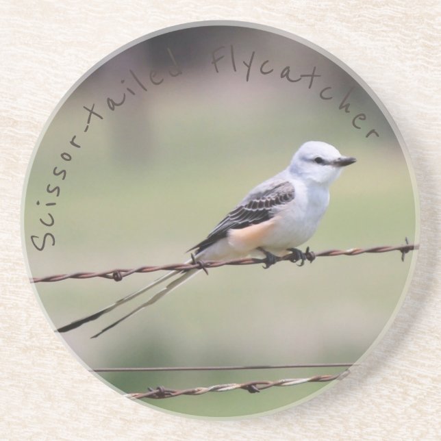 En Grès dessous de verre Ciseaux-coupés la queue de (Devant)