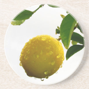 En Grès Dessous de verre - citron humide