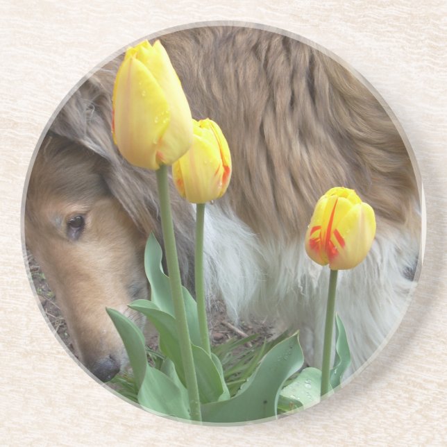 En Grès Dessous de verre Collie n Tulips (Devant)