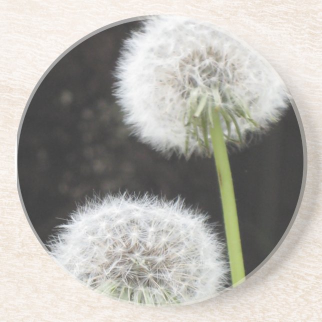 En Grès Dessous de verre - Dandelions (Devant)