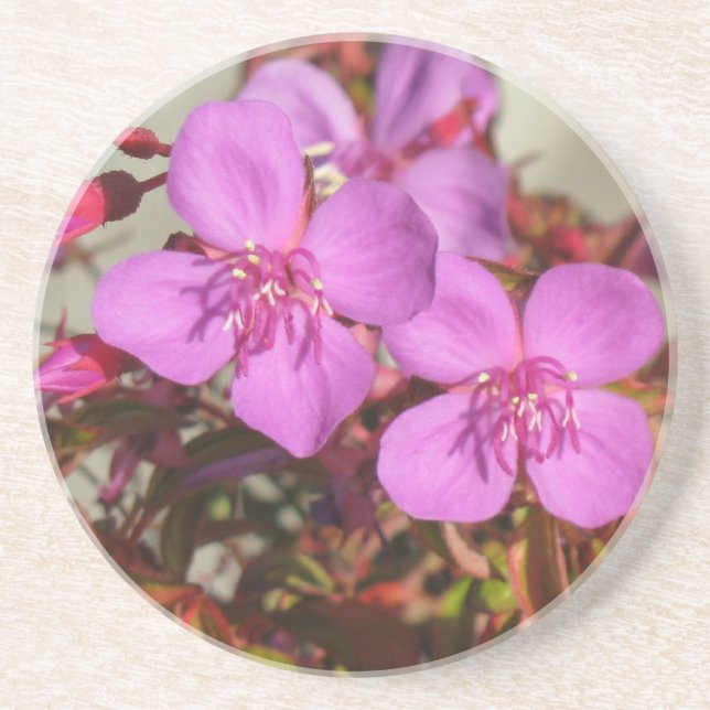 En Grès Dessous de verre de Begonias (Devant)