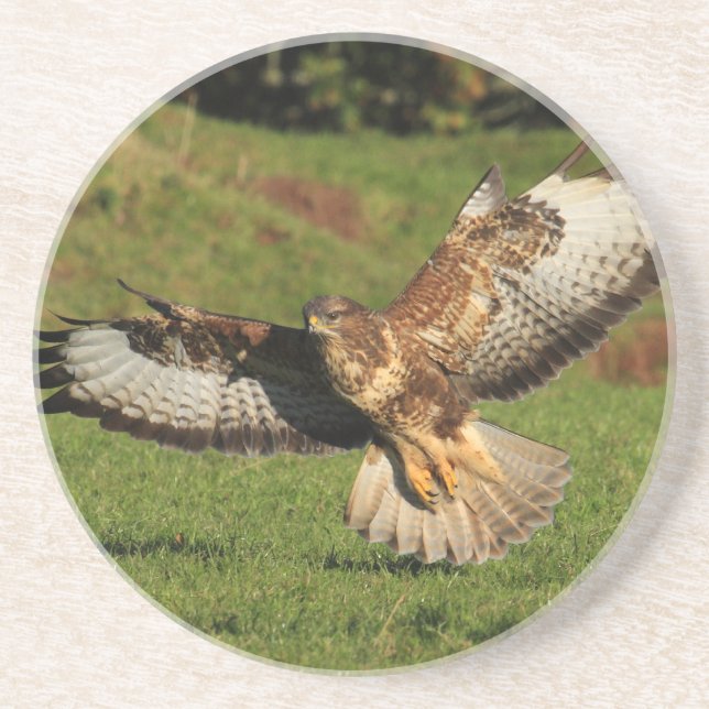 En Grès Dessous de verre de Buzzard (Devant)