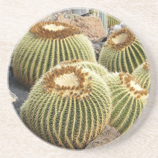 En Grès Dessous de verre de cactus (Devant)