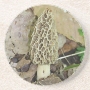 En Grès Dessous de verre de champignon de morelle