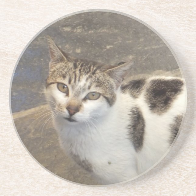 En Grès Dessous de verre de chat (Devant)