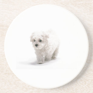En Grès Dessous de verre de chien de Bichon Frise