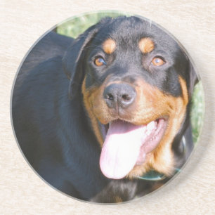 En Grès Dessous de verre de chien de rottweiler