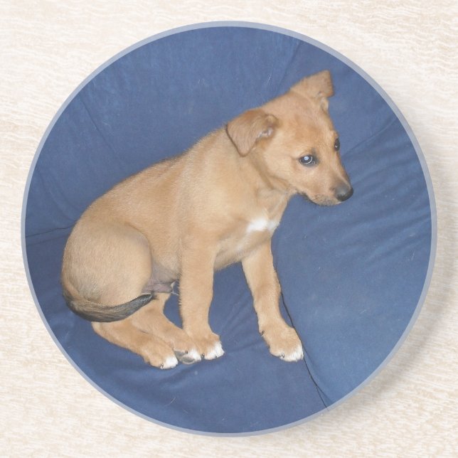 En Grès Dessous de verre de chiot (Devant)