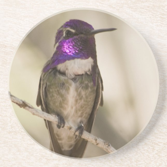 En Grès Dessous de verre de colibri (Devant)
