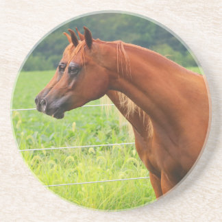 En Grès Dessous de verre de colts de la double image BOGO