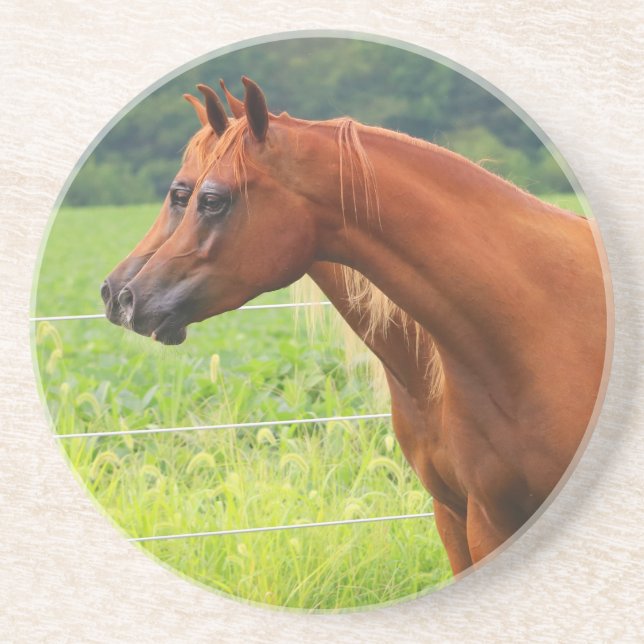 En Grès Dessous de verre de colts de la double image BOGO (Devant)