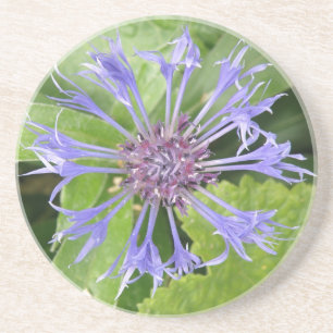 En Grès Dessous de verre de Cornflower bleu