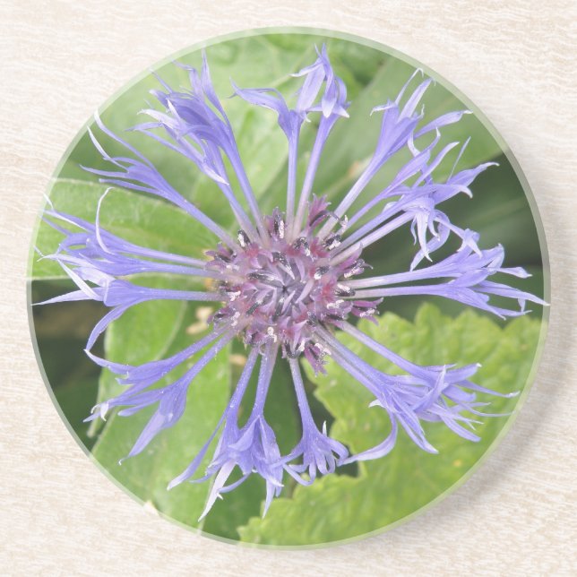 En Grès Dessous de verre de Cornflower bleu (Devant)
