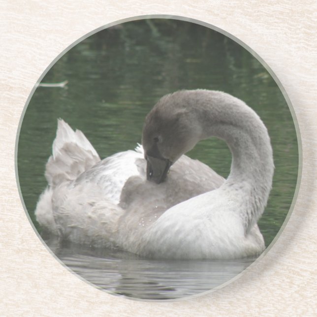 En Grès Dessous de verre de cygne endormis (Devant)