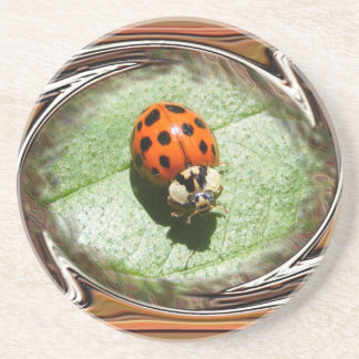 En Grès Dessous de verre de ~ de la coccinelle 187