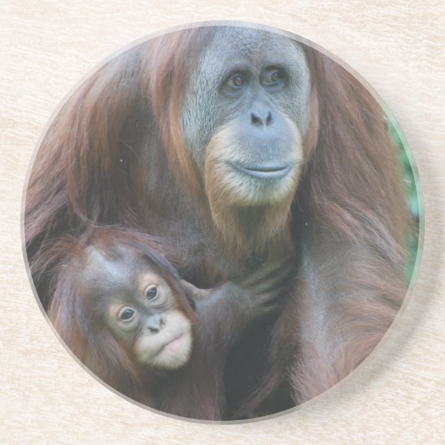 En Grès Dessous de verre de famille d'orang-outan (Devant)