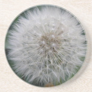 En Grès Dessous de verre de fleurs de pissenlit