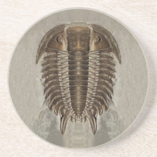 En Grès Dessous de verre de fossile de Trilobite (Devant)