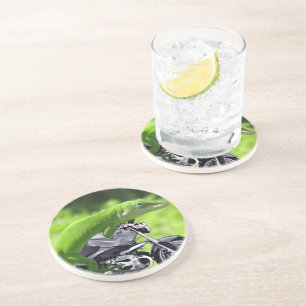 En Grès Dessous de verre de Gecko Hawaïen vert