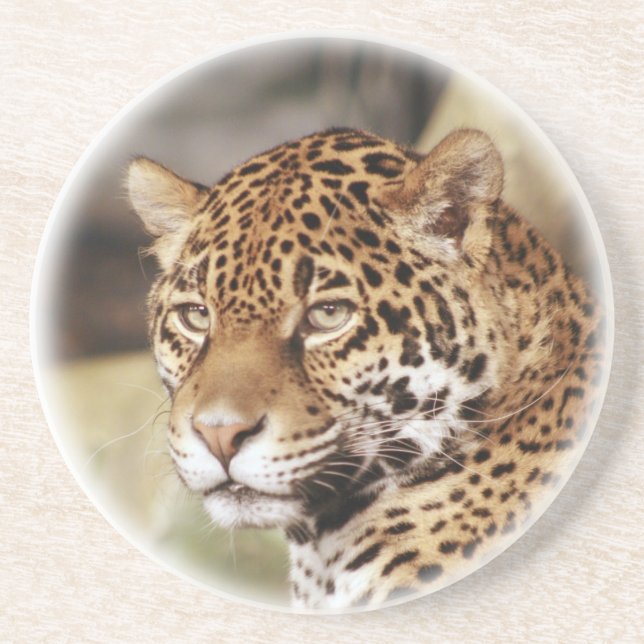 En Grès Dessous de verre de Jaguar (Devant)