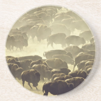 En Grès Dessous de verre de la revue Custer Buffalo