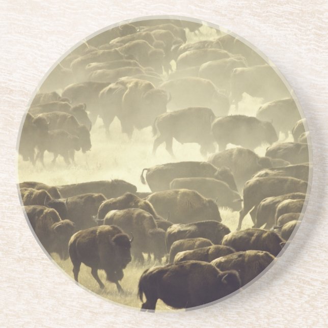 En Grès Dessous de verre de la revue Custer Buffalo (Devant)