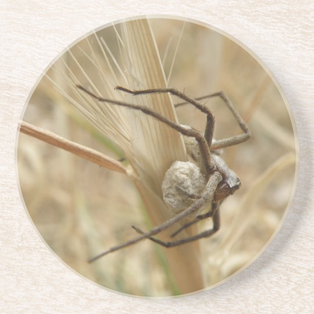 En Grès Dessous de verre de l'araignée et de l'oeuf (Devant)