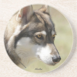 En Grès Dessous de verre de loup