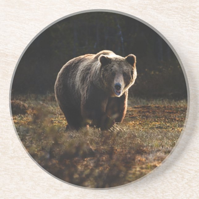 En Grès Dessous de verre de l'ours (Devant)