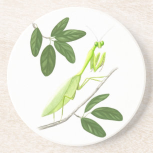 En Grès Dessous de verre de Mantis Sandstone
